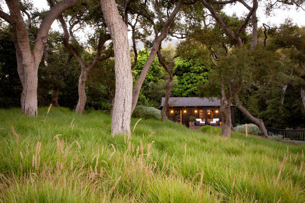 857 Picacho Lane Santa Barbara, CA 93108 - Photo 40 of 46 a view of a backyard with plants and large trees