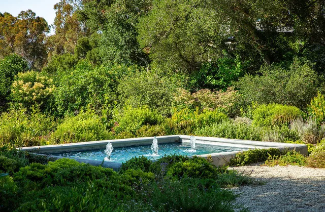 a view of yard with green space