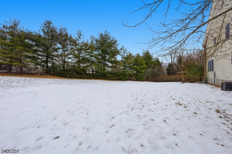 20 Sleepy Hollow Road Denville, NJ 07834 - Photo 45 of 48