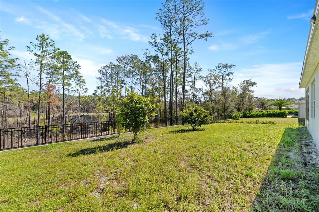 336 Camilla Road DeLand, FL 32724 - Photo 37 of 38 a view of an outdoor space and a yard