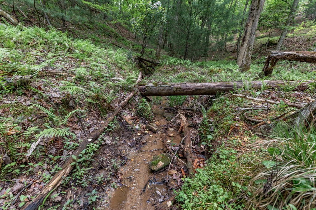 Lot 17 Lower Gap Road Sautee Nacoochee, GA 30571 - Photo 13 of 39 a view of outdoor space and garden