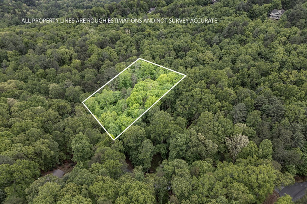 Lot 17 Lower Gap Road Sautee Nacoochee, GA 30571 - Photo 2 of 39 an aerial view of a house with a yard