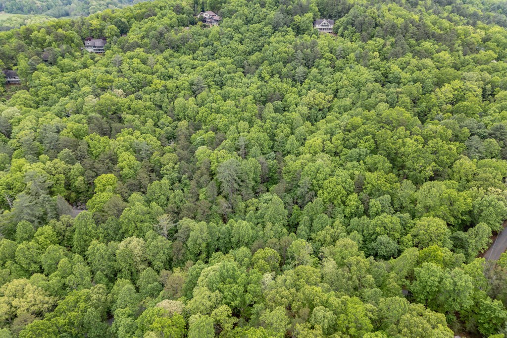 Lot 17 Lower Gap Road Sautee Nacoochee, GA 30571 - Photo 21 of 39 a view of a large yard with lots of green space