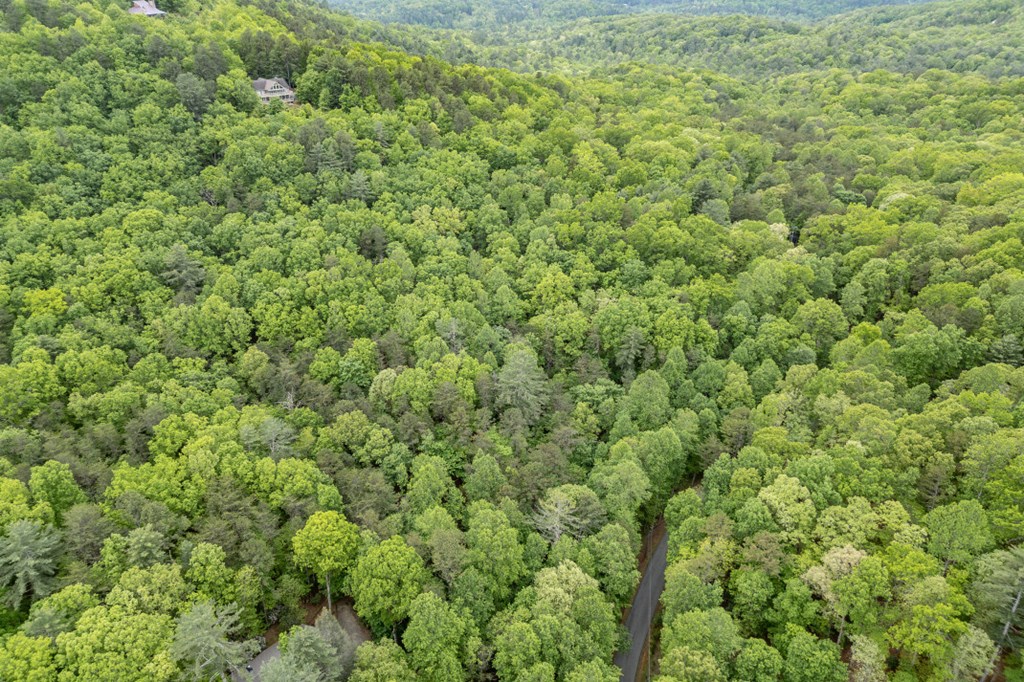 Lot 17 Lower Gap Road Sautee Nacoochee, GA 30571 - Photo 22 of 39 a view of a large yard with lots of green space