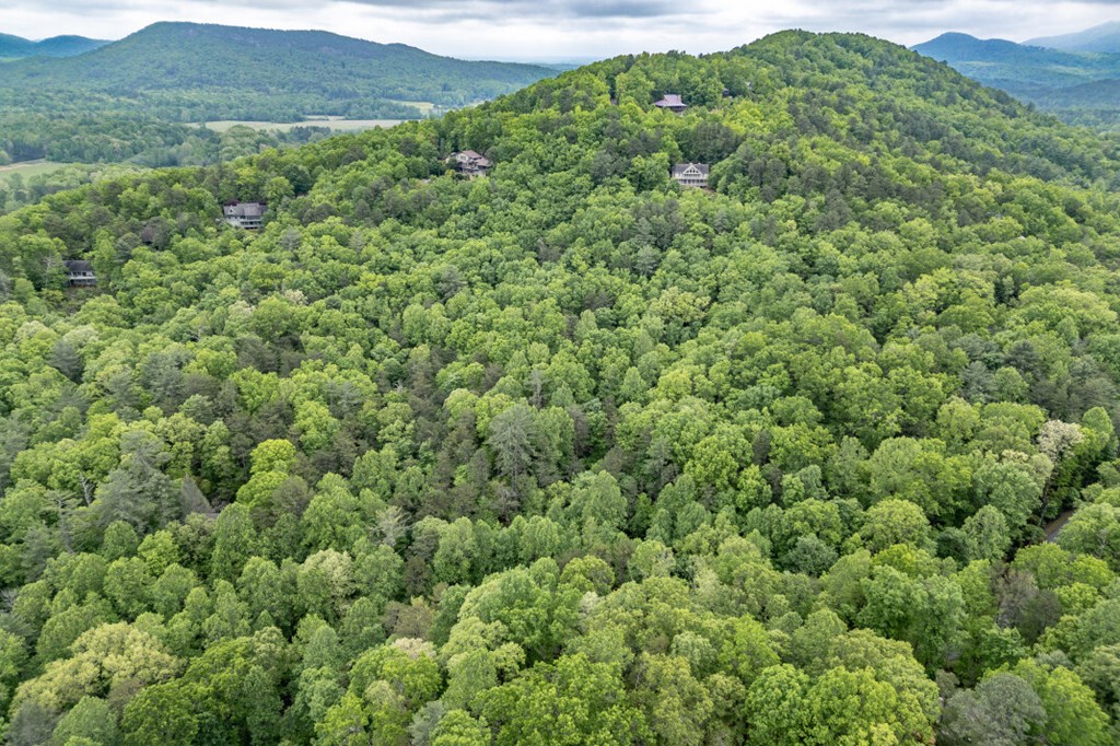Lot 17 Lower Gap Road Sautee Nacoochee, GA 30571 - Photo 23 of 39 a view of a green field with lots of bushes
