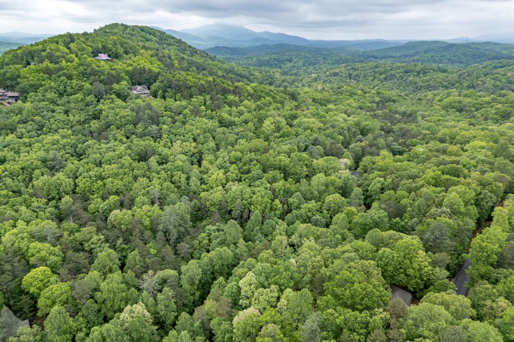 Lot 17 Lower Gap Road Sautee Nacoochee, GA 30571 - Photo 24 of 39 a view of a large yard with lots of green space