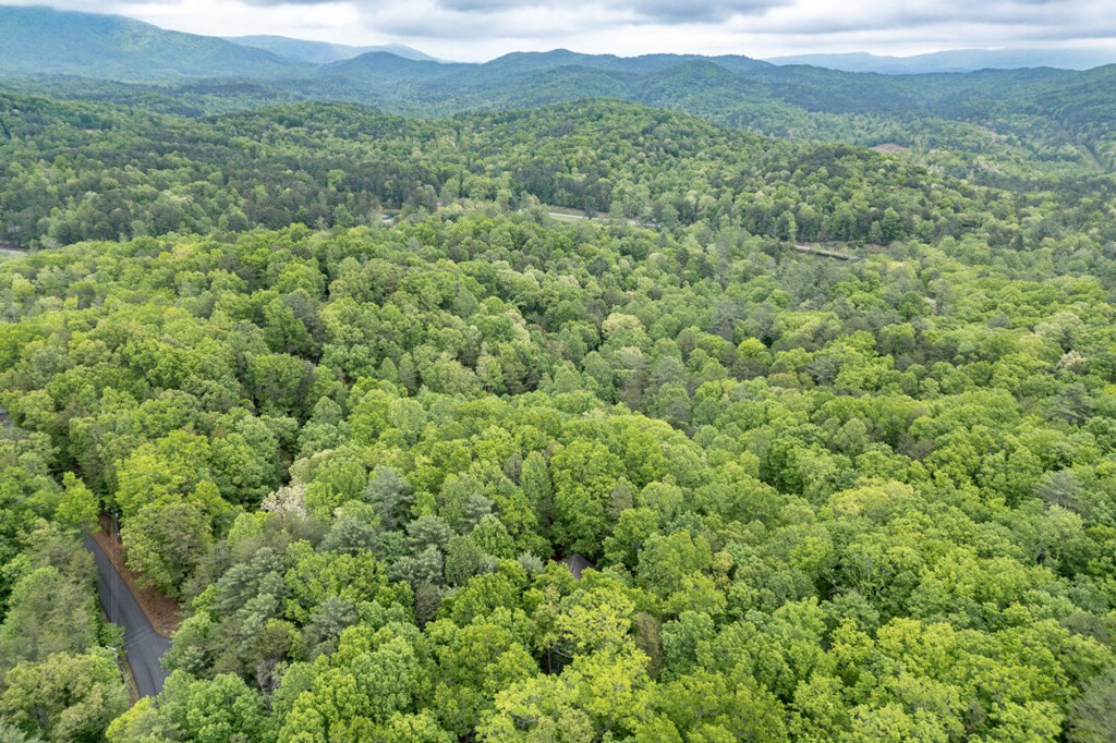 Lot 17 Lower Gap Road Sautee Nacoochee, GA 30571 - Photo 25 of 39 a view of a green field with lots of bushes