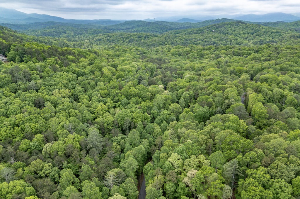 Lot 17 Lower Gap Road Sautee Nacoochee, GA 30571 - Photo 26 of 39 a view of a green field with lots of bushes