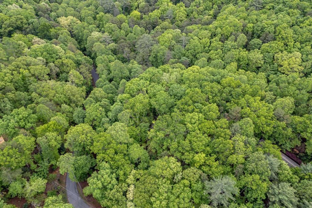 Lot 17 Lower Gap Road Sautee Nacoochee, GA 30571 - Photo 27 of 39 a view of a large yard with lots of green space