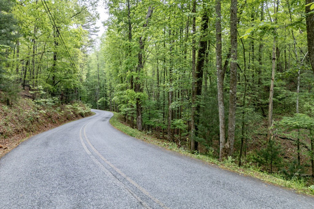 Lot 17 Lower Gap Road Sautee Nacoochee, GA 30571 - Photo 3 of 39 a view of a garden with plants