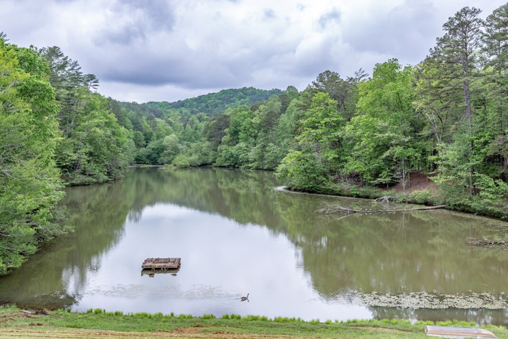 Lot 17 Lower Gap Road Sautee Nacoochee, GA 30571 - Photo 33 of 39