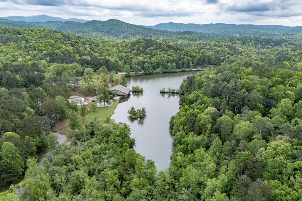 Lot 17 Lower Gap Road Sautee Nacoochee, GA 30571 - Photo 35 of 39 an aerial view of green landscape with trees houses and mountain view