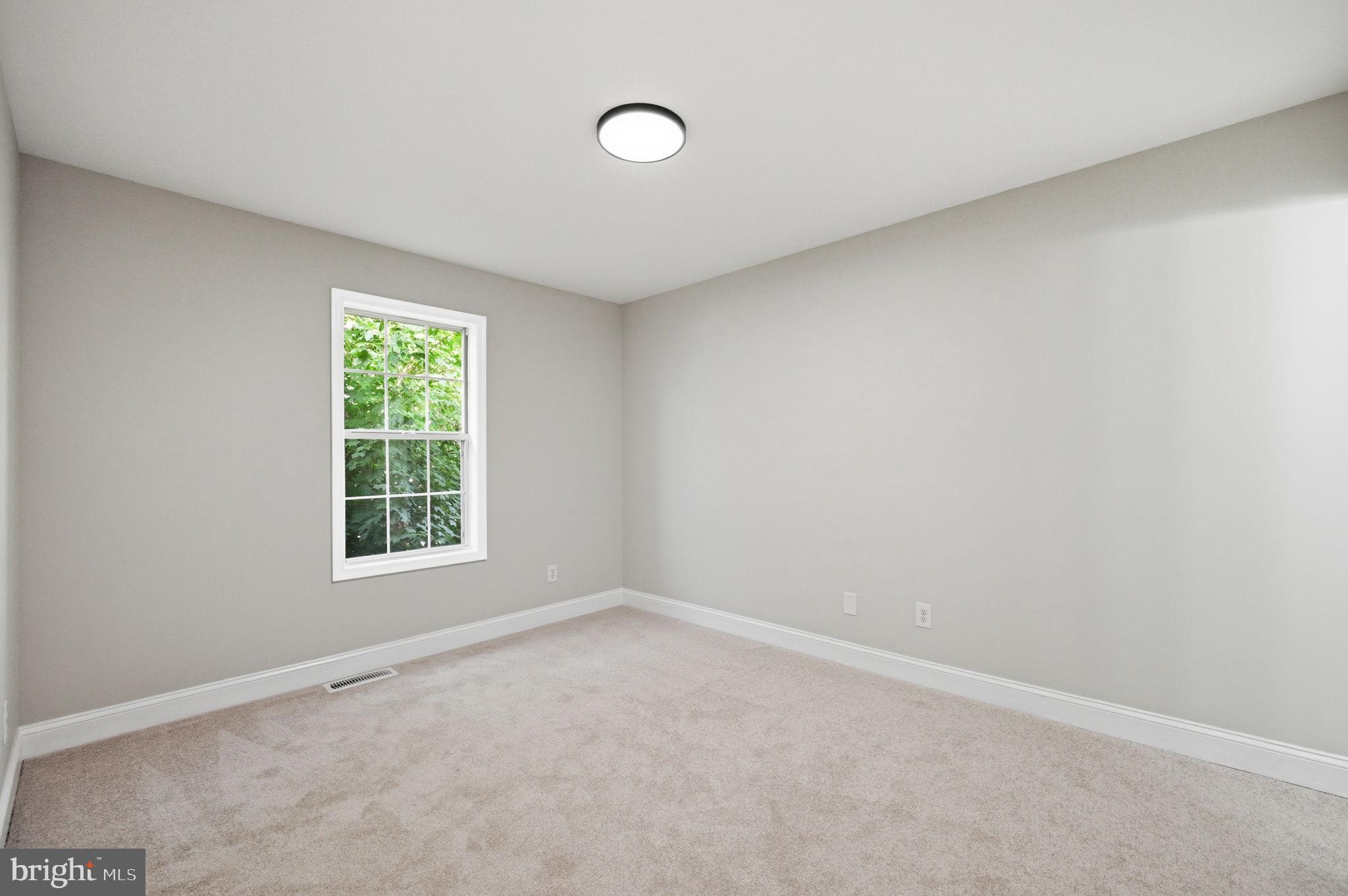 672 Ripplebrook Drive Culpeper, VA 22701 - Photo 9 of 26 Bright and airy blank canvas room.