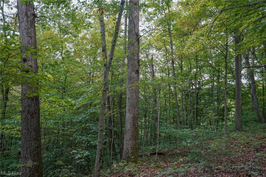 0 Reed Marietta, OH 45750 - Photo 30 of 35 View of nature