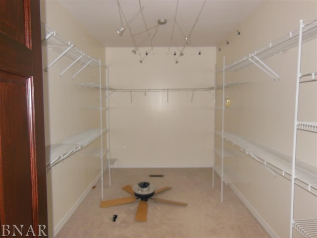4125 Brush College Road Clinton, IL 61727 - Photo 12 of 25