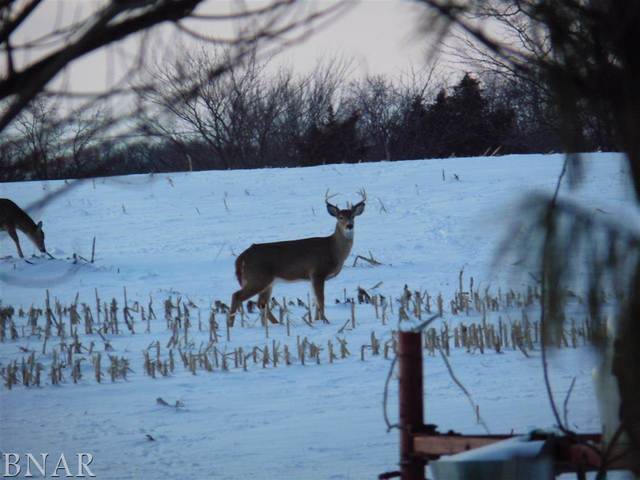 4125 Brush College Road Clinton, IL 61727 - Photo 24 of 25