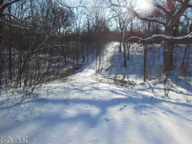 4125 Brush College Road Clinton, IL 61727 - Photo 25 of 25