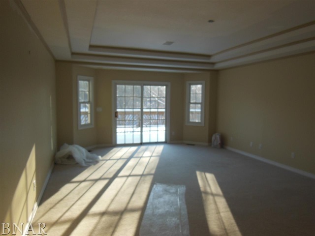 4125 Brush College Road Clinton, IL 61727 - Photo 8 of 25