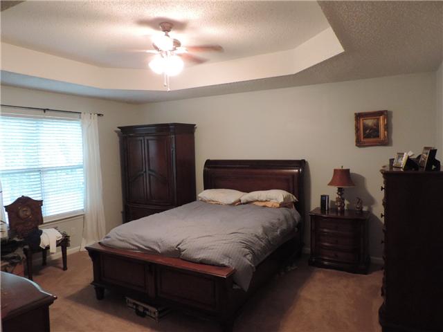 3480 Trough Springs Road Adams, TN 37010 - Photo 13 of 17 Private, large master bedroom with trey ceiling, located at back of home with nice view of back yard.