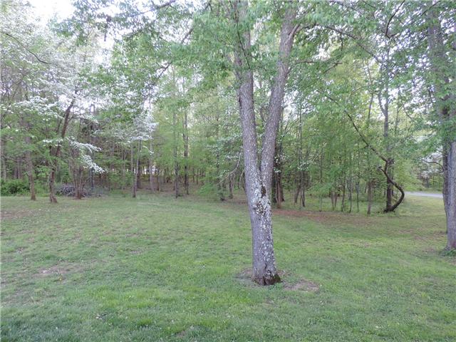 3480 Trough Springs Road Adams, TN 37010 - Photo 6 of 17 View of treed back yard from back of home.