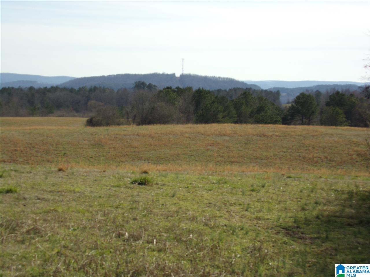 0 Posey Road, Unit TRACT 2 Blountsville, AL 35031 - Photo 1 of 9