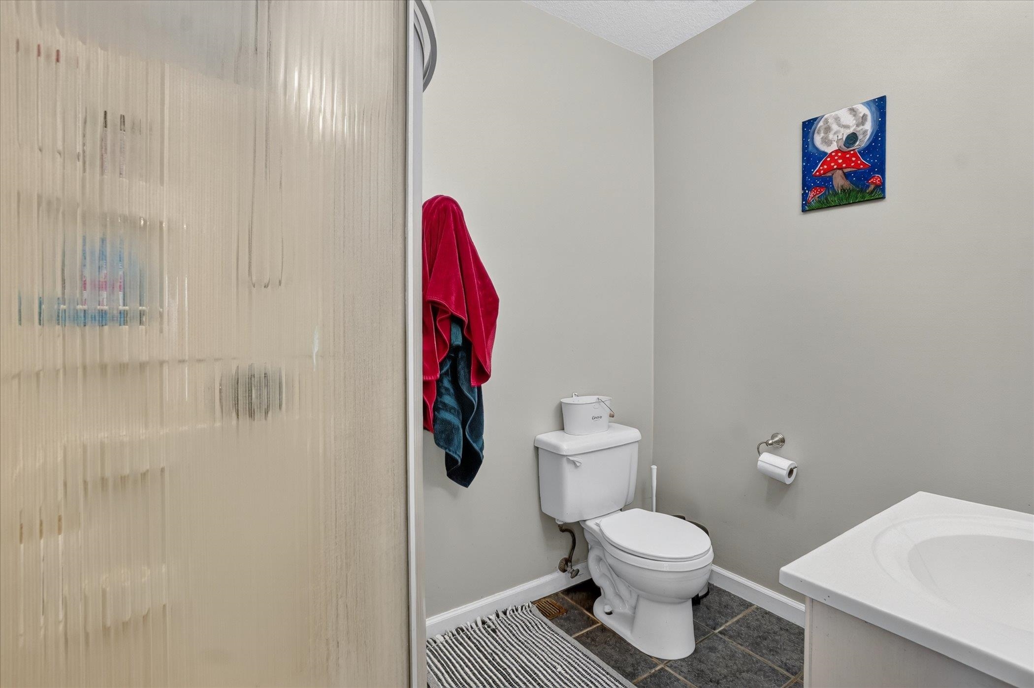 15151 Bishop Road Chesaning, MI 48616 - Photo 24 of 67 50212947-f2be02ed-951e-4368-b9d4-7a474bae57bb.JPG