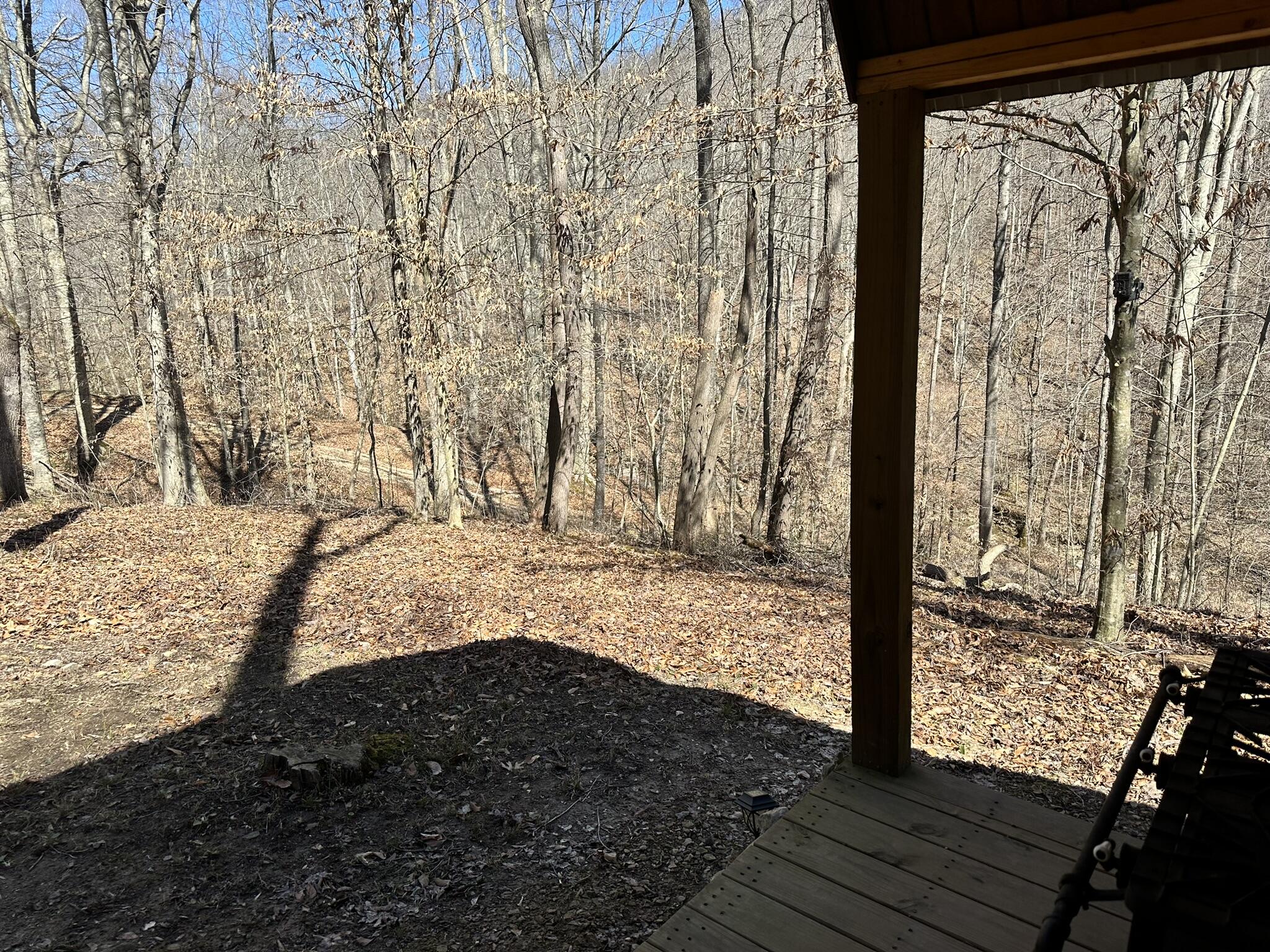 460.2 Cow Creek Road Ravenna, KY 40472 - Photo 17 of 46 View from porch!