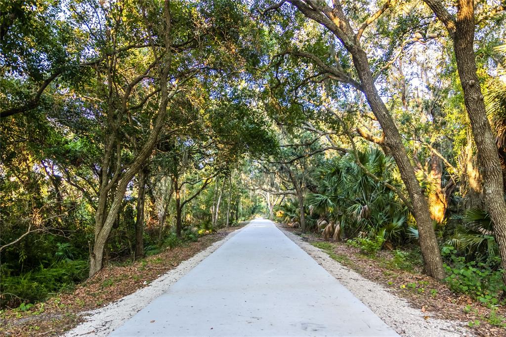 6905 Freeport Road Riverview, FL 33578 - Photo 33 of 46