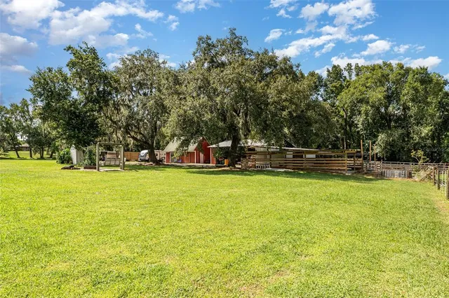 a view of a swimming pool with a yard and palm trees