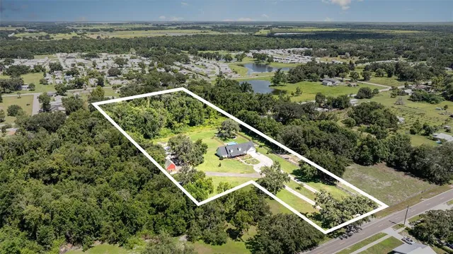a view of a forest with a lake
