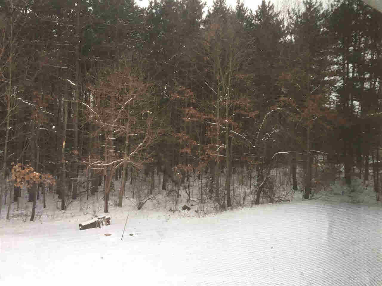 6067 Cyclone Road Otter Lake, MI 48464 - Photo 42 of 42 21404714-41.JPG