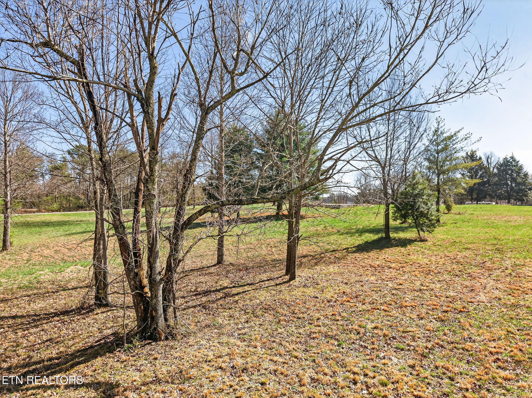 Browntown Road Crossville, TN 38572 - Photo 12 of 18 12-web-or-mls-1532 Browntown Rd_085_TNPC