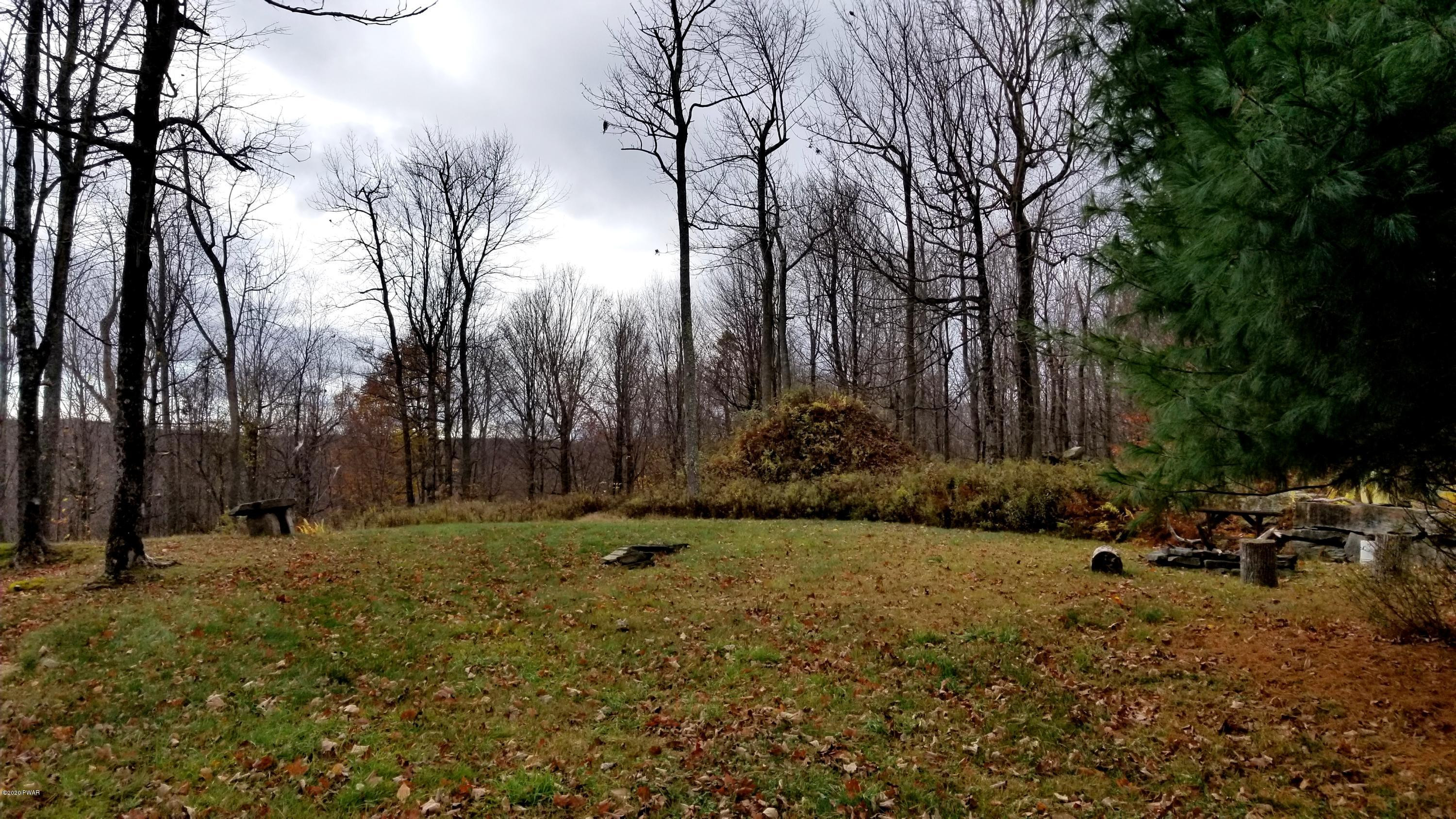 Lot 63 Old Woods Road Equinunk, PA 18417 - Photo 12 of 63