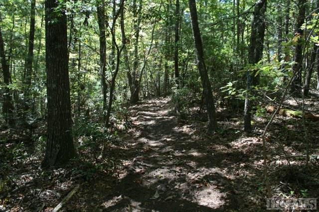 L-8 Silver Springs Road Sapphire, NC 28774 - Photo 7 of 7 Gallery Image 7