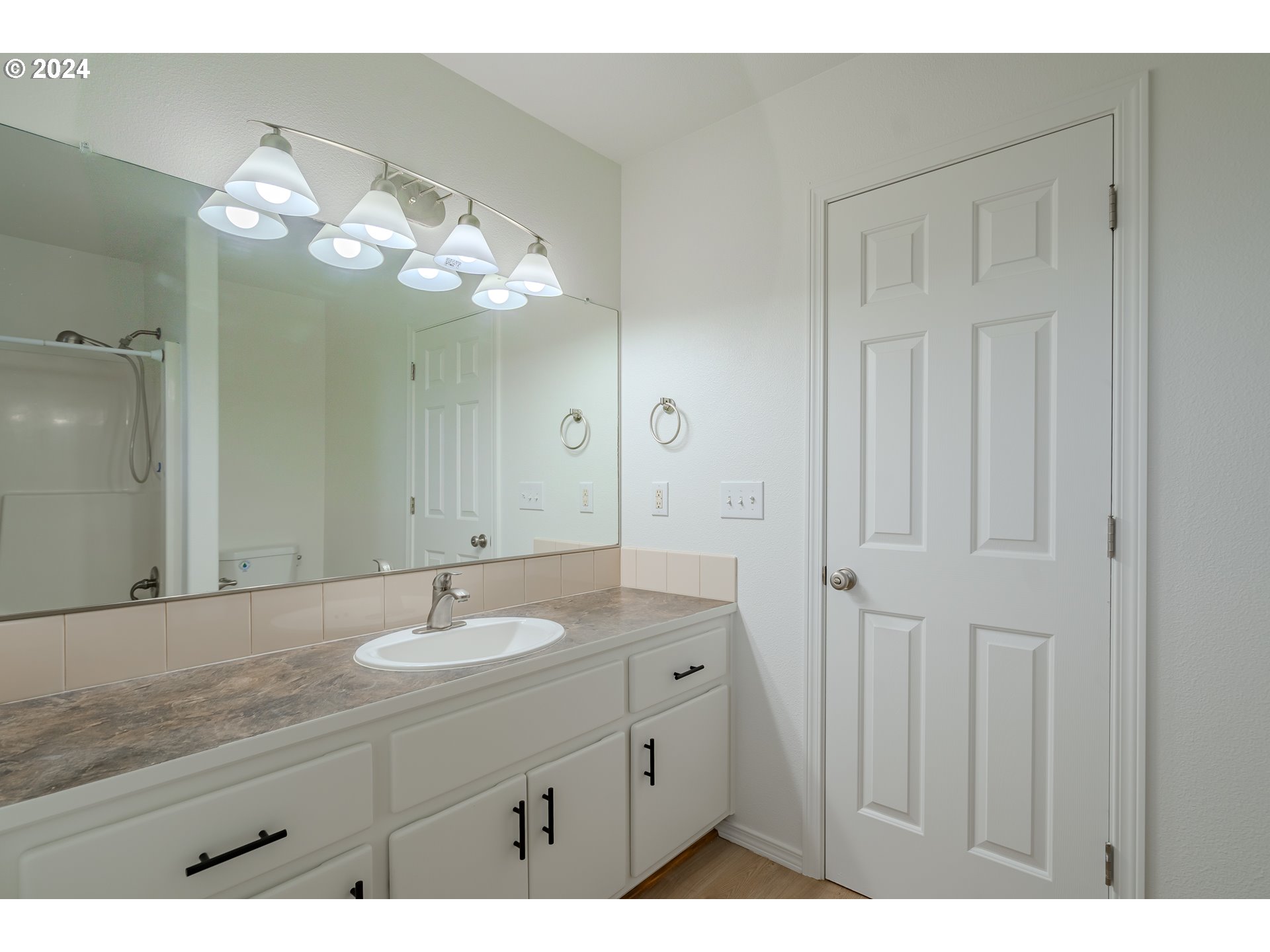 314 South 34th Place Ridgefield, WA 98642 - Photo 37 of 48 a bathroom with a sink vanity and a mirror