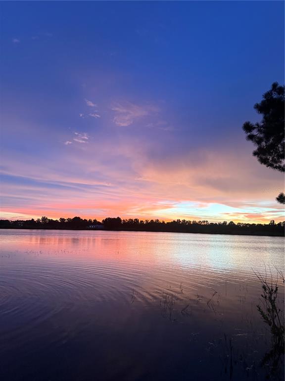 3412 Lake Diane Road Tavares, FL 32778 - Photo 9 of 16 a view of an ocean with city view