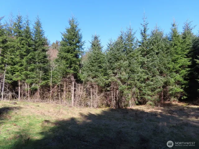 $155,800 | 80 Wilson Lane, South Bend, WA 98586