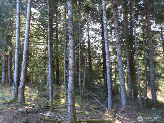 $155,800 | 80 Wilson Lane, South Bend, WA 98586