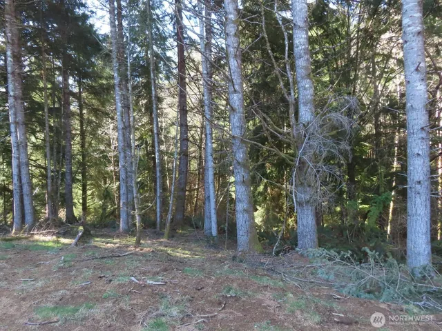 $155,800 | 80 Wilson Lane, South Bend, WA 98586