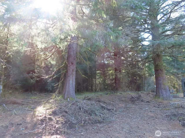 $155,800 | 80 Wilson Lane, South Bend, WA 98586