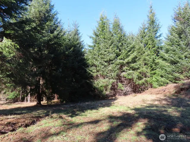 $155,800 | 80 Wilson Lane, South Bend, WA 98586