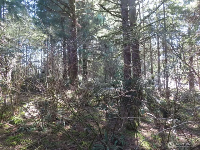 $155,800 | 80 Wilson Lane, South Bend, WA 98586