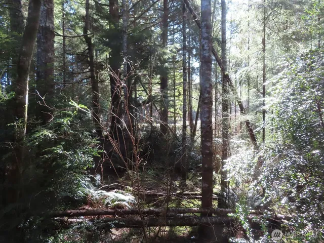 $155,800 | 80 Wilson Lane, South Bend, WA 98586