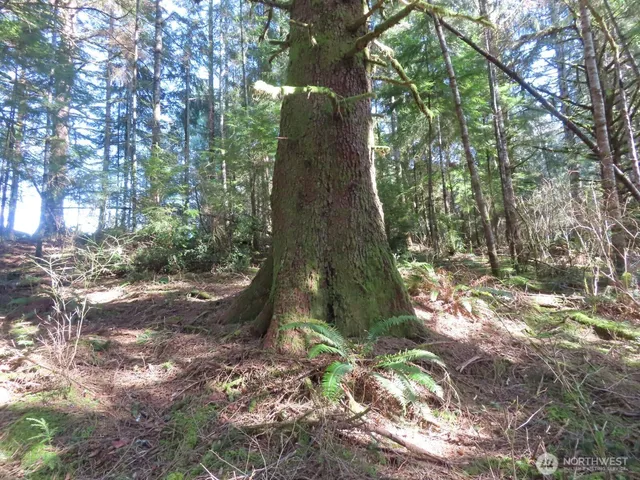 $155,800 | 80 Wilson Lane, South Bend, WA 98586