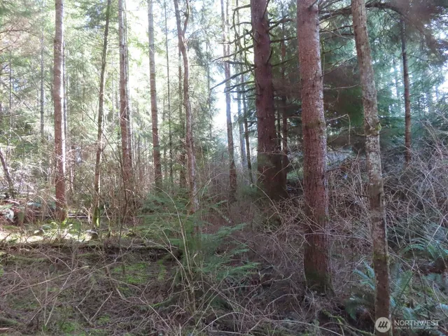 $155,800 | 80 Wilson Lane, South Bend, WA 98586