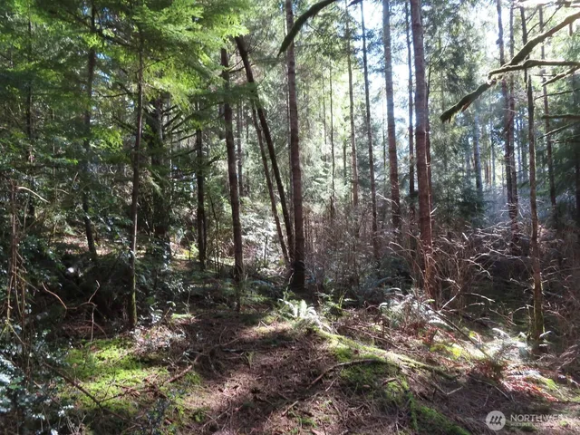 $155,800 | 80 Wilson Lane, South Bend, WA 98586