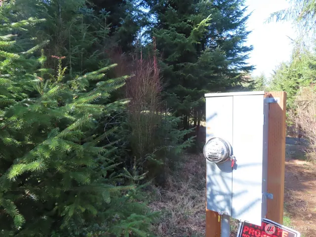 $155,800 | 80 Wilson Lane, South Bend, WA 98586