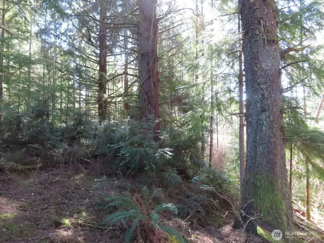 $155,800 | 80 Wilson Lane, South Bend, WA 98586