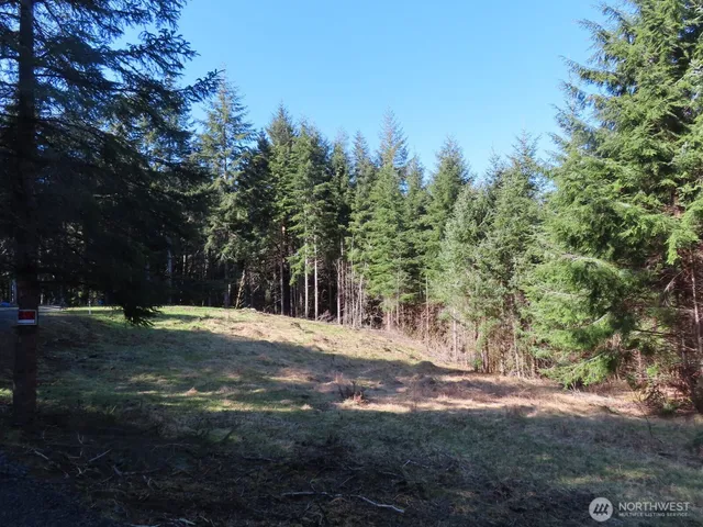 $155,800 | 80 Wilson Lane, South Bend, WA 98586