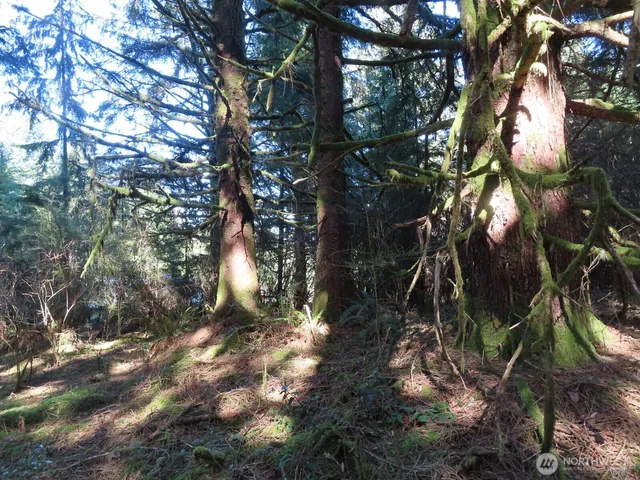 $155,800 | 80 Wilson Lane, South Bend, WA 98586